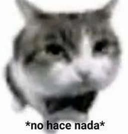 Samu.owo